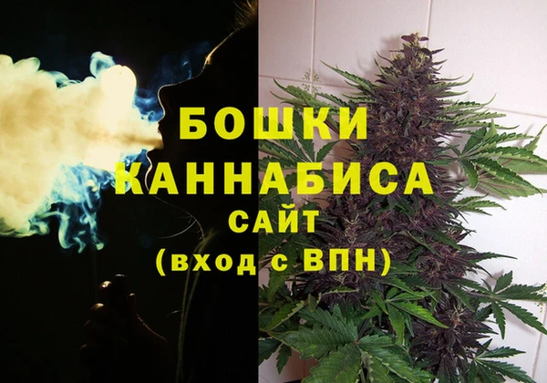 PSILOCYBIN Абдулино