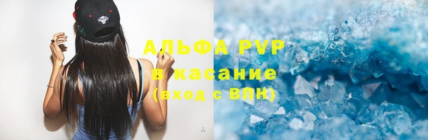 прущие грибы Абинск