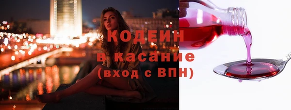 прущие грибы Абинск