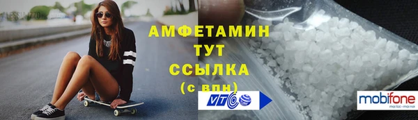 прущие грибы Абинск