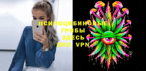 амф Липки