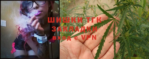 амф Липки